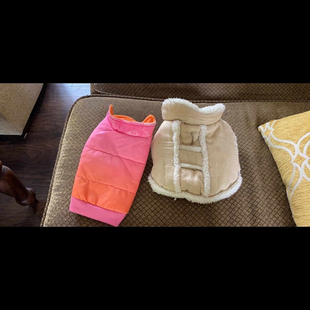 Puppy clothes. Maltese puppies outgrew.